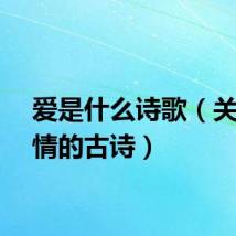 爱是什么诗歌（关于爱情的古诗）