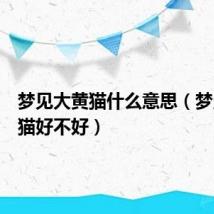 梦见大黄猫什么意思(梦见大黄猫好不好)
