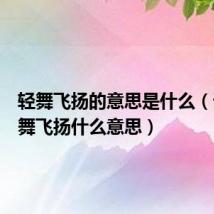 轻舞飞扬的意思是什么(词语轻舞飞扬什么意思)