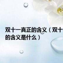 双十一真正的含义(双十一真正的含义是什么)