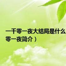 一千零一夜大结局是什么（一千零一夜简介）