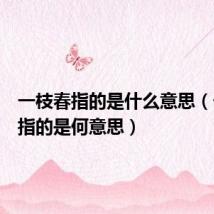 一枝春指的是什么意思(一枝春指的是何意思)