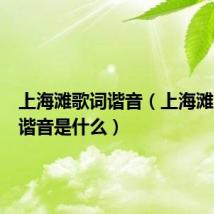 上海滩歌词谐音(上海滩的歌词谐音是什么)