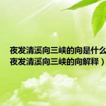 夜发清溪向三峡的向是什么意思(夜发清溪向三峡的向解释)