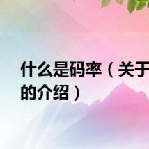 什么是码率（关于码率的介绍）