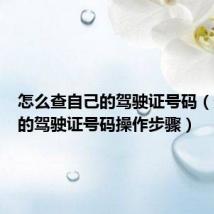 怎么查自己的驾驶证号码（查自己的驾驶证号码操作步骤）