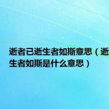 逝者已逝生者如斯意思(逝者已逝生者如斯是什么意思)