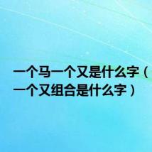 一个马一个又是什么字(一个马一个又组合是什么字)
