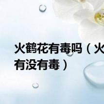 火鹤花有毒吗（火鹤花有没有毒）