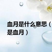 血月是什么意思（什么是血月）