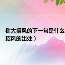 树大招风的下一句是什么(树大招风的出处)