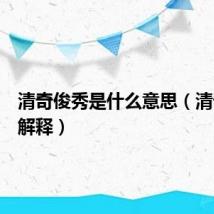 清奇俊秀是什么意思（清奇俊秀解释）