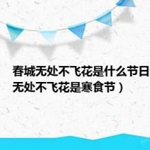 春城无处不飞花是什么节日（春城无处不飞花是寒食节）