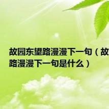 故园东望路漫漫下一句（故园东望路漫漫下一句是什么）