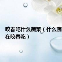 咬春吃什么蔬菜(什么蔬菜适合在咬春吃)