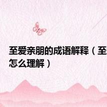 至爱亲朋的成语解释(至爱亲朋怎么理解)