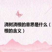 浇树浇根的意思是什么(浇树浇根的含义)