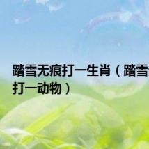 踏雪无痕打一生肖（踏雪无痕打打一动物）