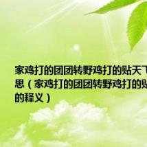 家鸡打的团团转野鸡打的贴天飞是什么意思（家鸡打的团团转野鸡打的贴天飞句子的释义）