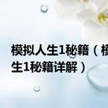 模拟人生1秘籍（模拟人生1秘籍详解）