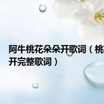 阿牛桃花朵朵开歌词(桃花朵朵开完整歌词)