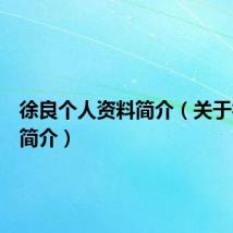 徐良个人资料简介(关于徐良的简介)