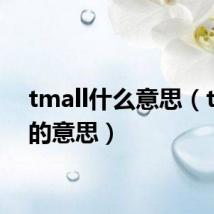 tmall什么意思(tmall的意思)