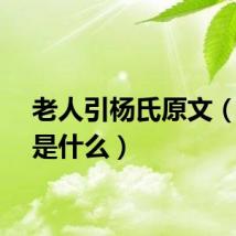 老人引杨氏原文（原文是什么）