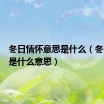 冬日情怀意思是什么(冬日情怀是什么意思)