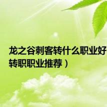 龙之谷刺客转什么职业好(刺客转职职业推荐)