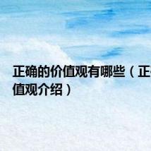 正确的价值观有哪些（正确的价值观介绍）