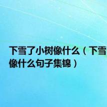 下雪了小树像什么（下雪了小树像什么句子集锦）