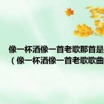 像一杯酒像一首老歌那首是什么歌(像一杯酒像一首老歌歌曲介绍)