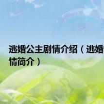 逃婚公主剧情介绍（逃婚公主剧情简介）