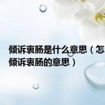 倾诉衷肠是什么意思（怎么理解倾诉衷肠的意思）