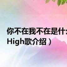你不在我不在是什么歌（High歌介绍）