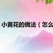 小黄花的做法（怎么做）