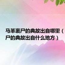 马革裹尸的典故出自哪里(马革裹尸的典故出自什么地方)