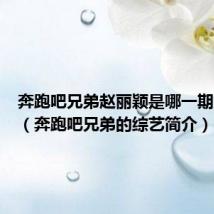 奔跑吧兄弟赵丽颖是哪一期第几季(奔跑吧兄弟的综艺简介)