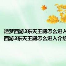 造梦西游3东天王殿怎么进入(造梦西游3东天王殿怎么进入介绍)