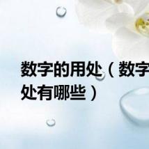 数字的用处（数字的用处有哪些）