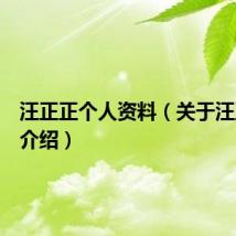 汪正正个人资料（关于汪正正的介绍）