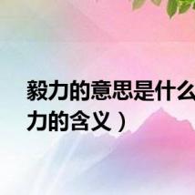 毅力的意思是什么（毅力的含义）