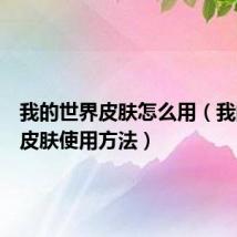 我的世界皮肤怎么用（我的世界皮肤使用方法）