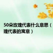 50朵玫瑰代表什么意思（50朵玫瑰代表的寓意）