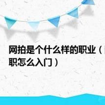 网拍是个什么样的职业（网拍兼职怎么入门）