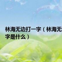 林海无边打一字(林海无边打一字是什么)