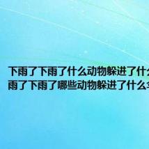 下雨了下雨了什么动物躲进了什么伞（下雨了下雨了哪些动物躲进了什么伞）