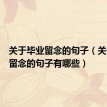 关于毕业留念的句子（关于毕业留念的句子有哪些）