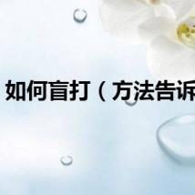 如何盲打（方法告诉你）